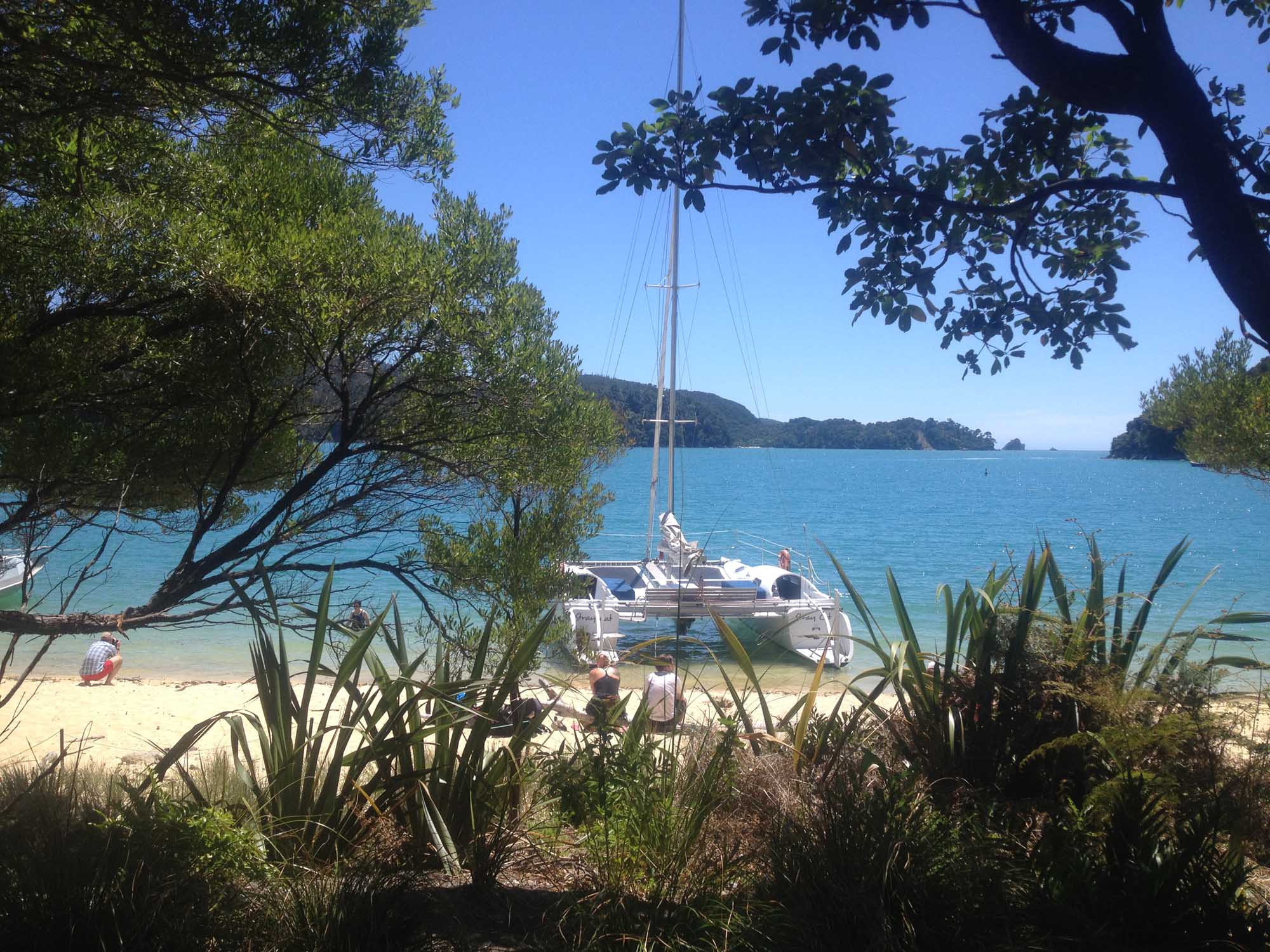 Afternoon Sailing trip in the Abel Tasman - Image 2