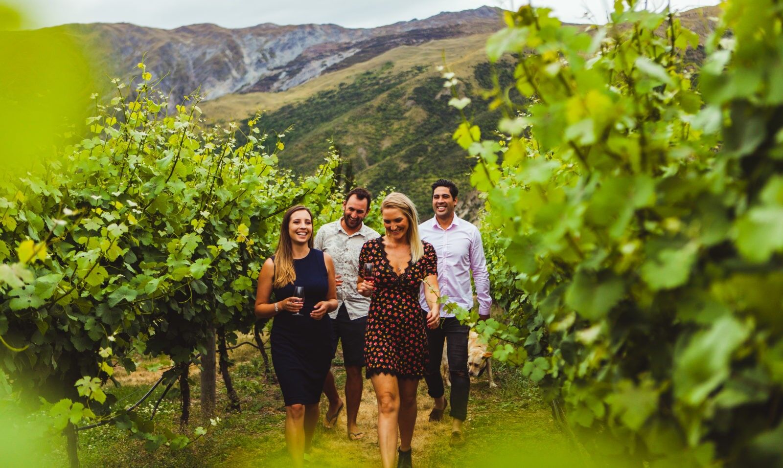 Queenstown wine tour & in house massage combo! - Image 2