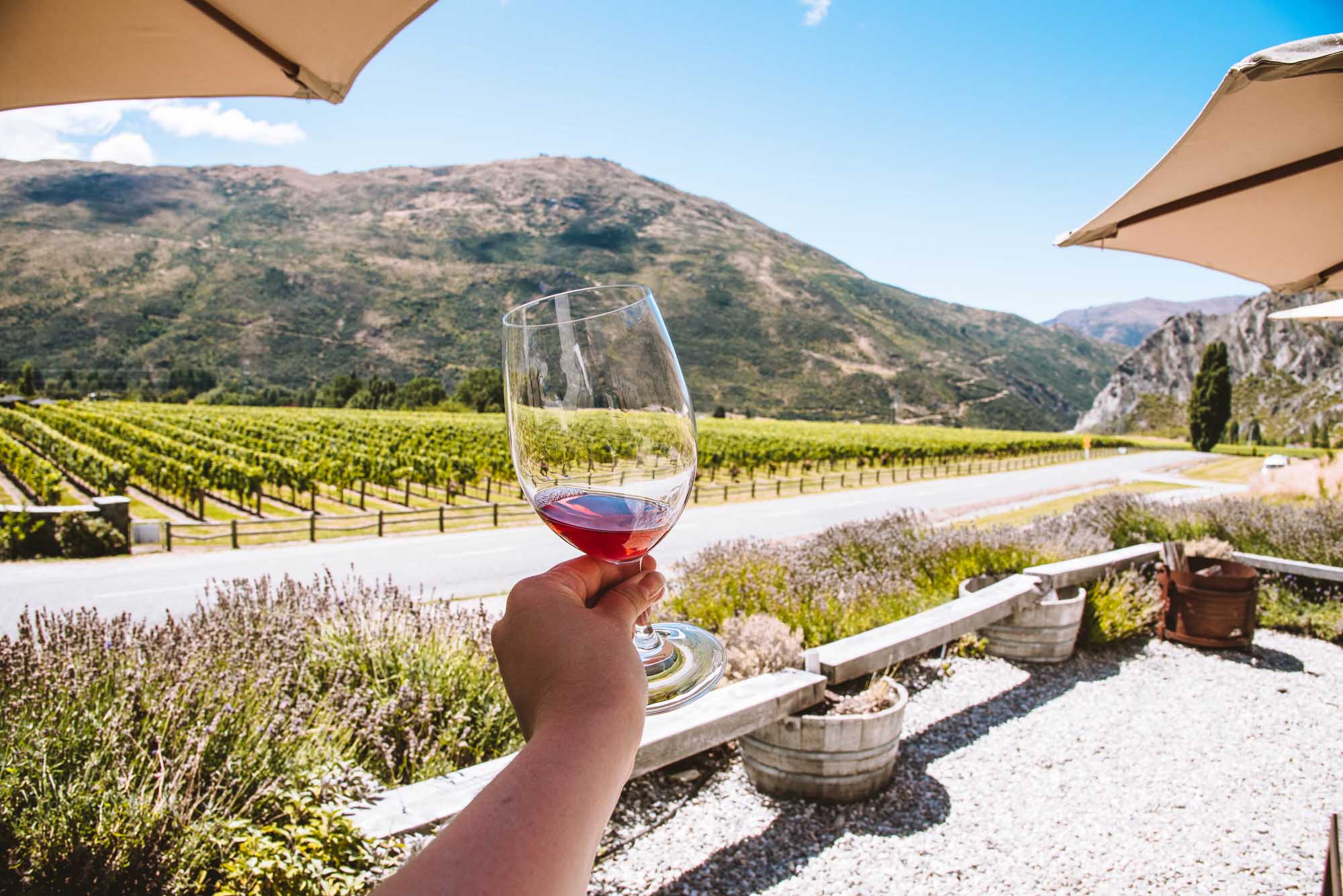 Queenstown wine tour & in house massage combo! - Image 4