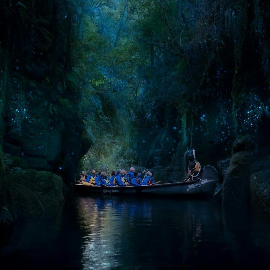 Big Kanu Glowworm Adventure on Lake McLaren! - Image 3