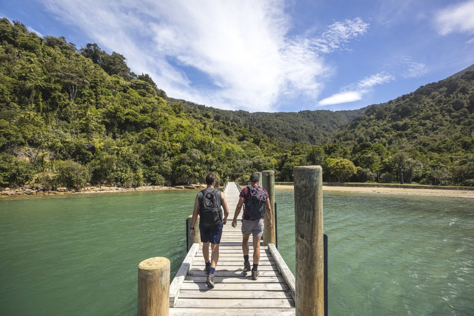 Motuara Island Bird Watch Cruise in the Marlborough Sounds