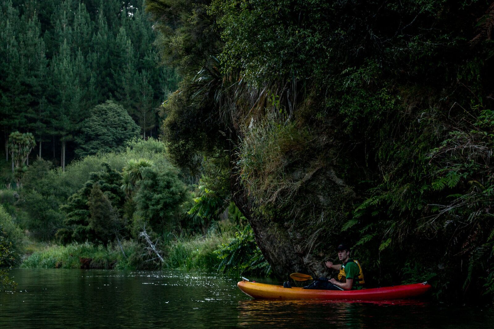 Glow Worm Kayaking on Lake Karapiro! - Image 4