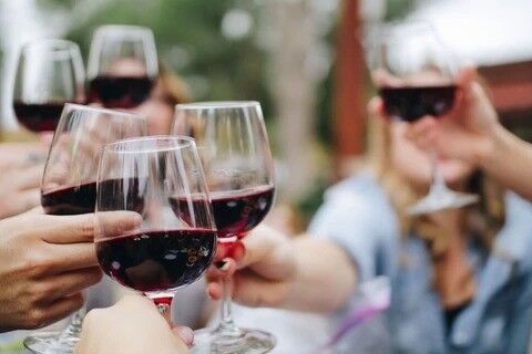 Full day biking the wineries of the Gibbston Valley - Image 2