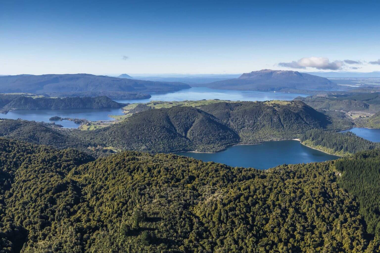 Take a floatplane flight from the Rotorua Lakefront
