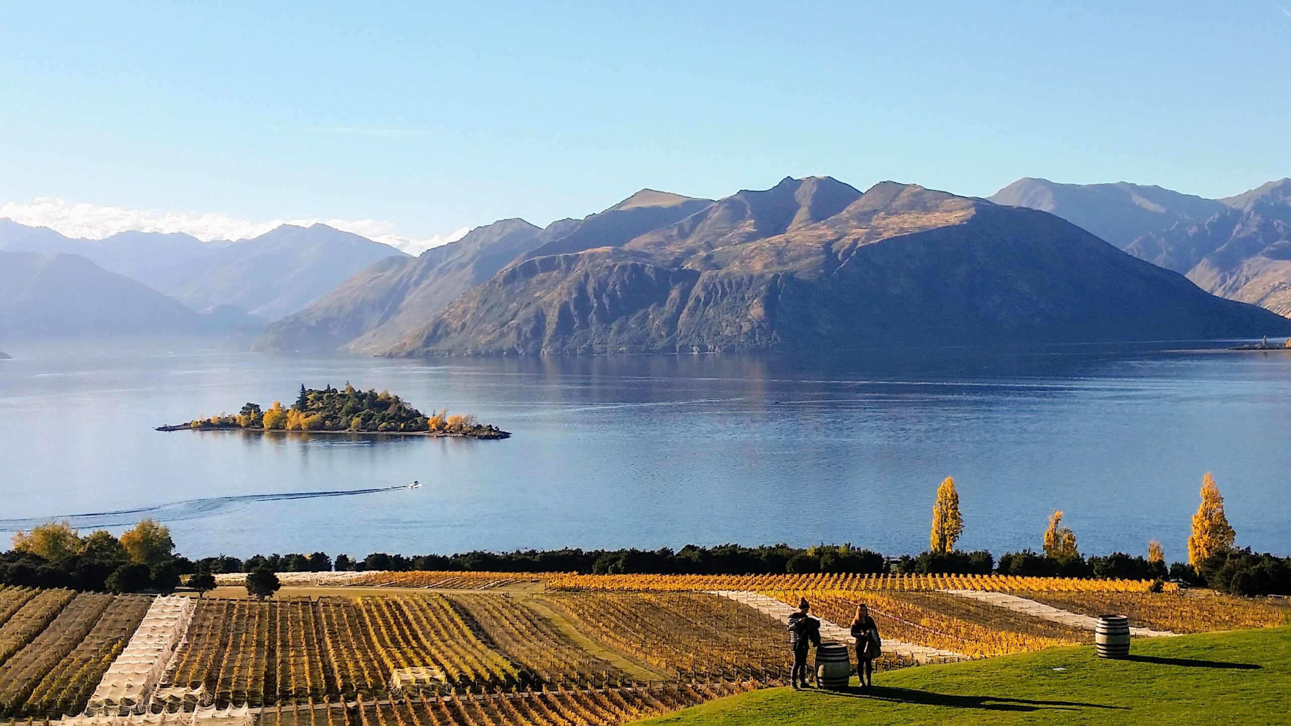 Private half day wine tour in Central Otago - Image 3