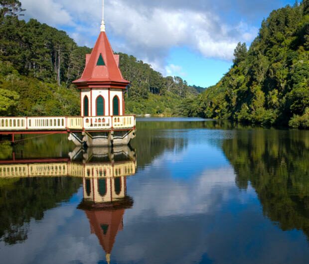 Guided tour of Zealandia Ecosanctuary Wellington - Image 3