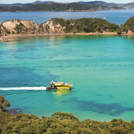 Bay of Islands & 'Discover the Bay' Cruise - Image 2