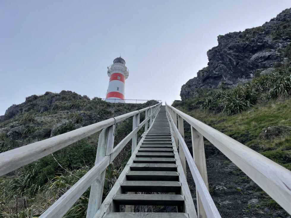 Scenic South Wairarapa private tour for two - Image 2