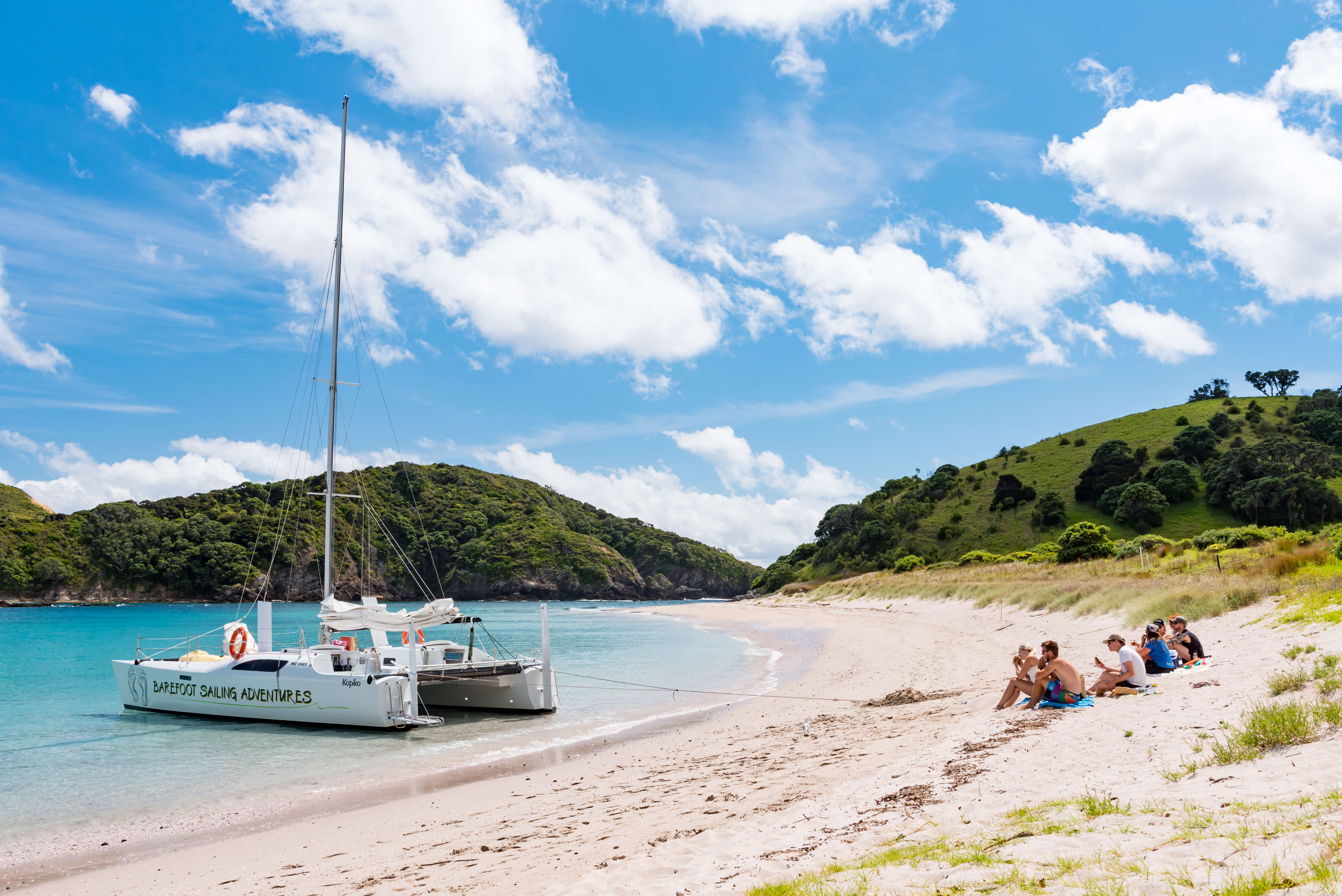 Day sailing Island Hopper Cruise in the Bay of Islands