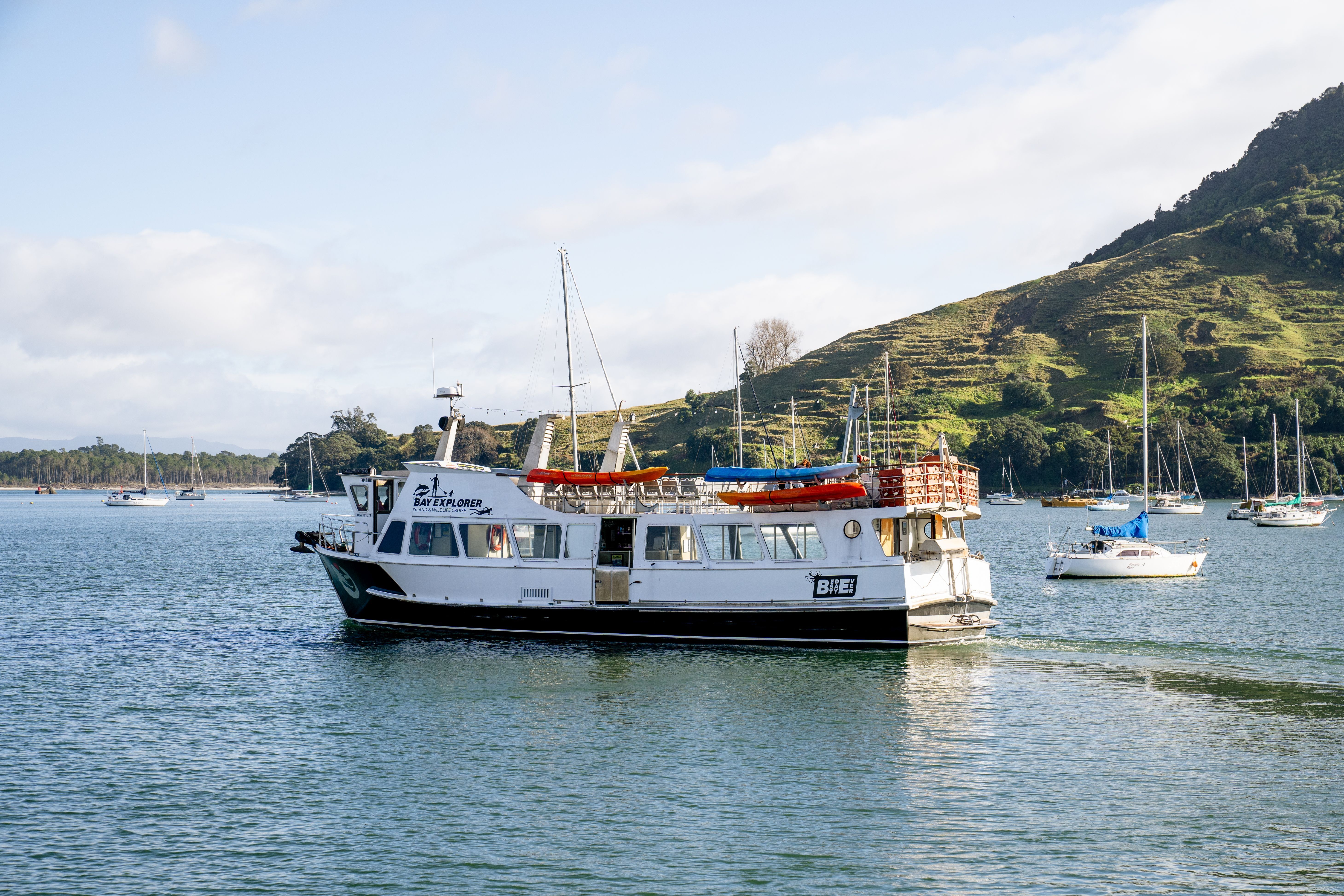 Tauranga Scenic Cruise – Relaxing Harbour & Coastal Sightseeing