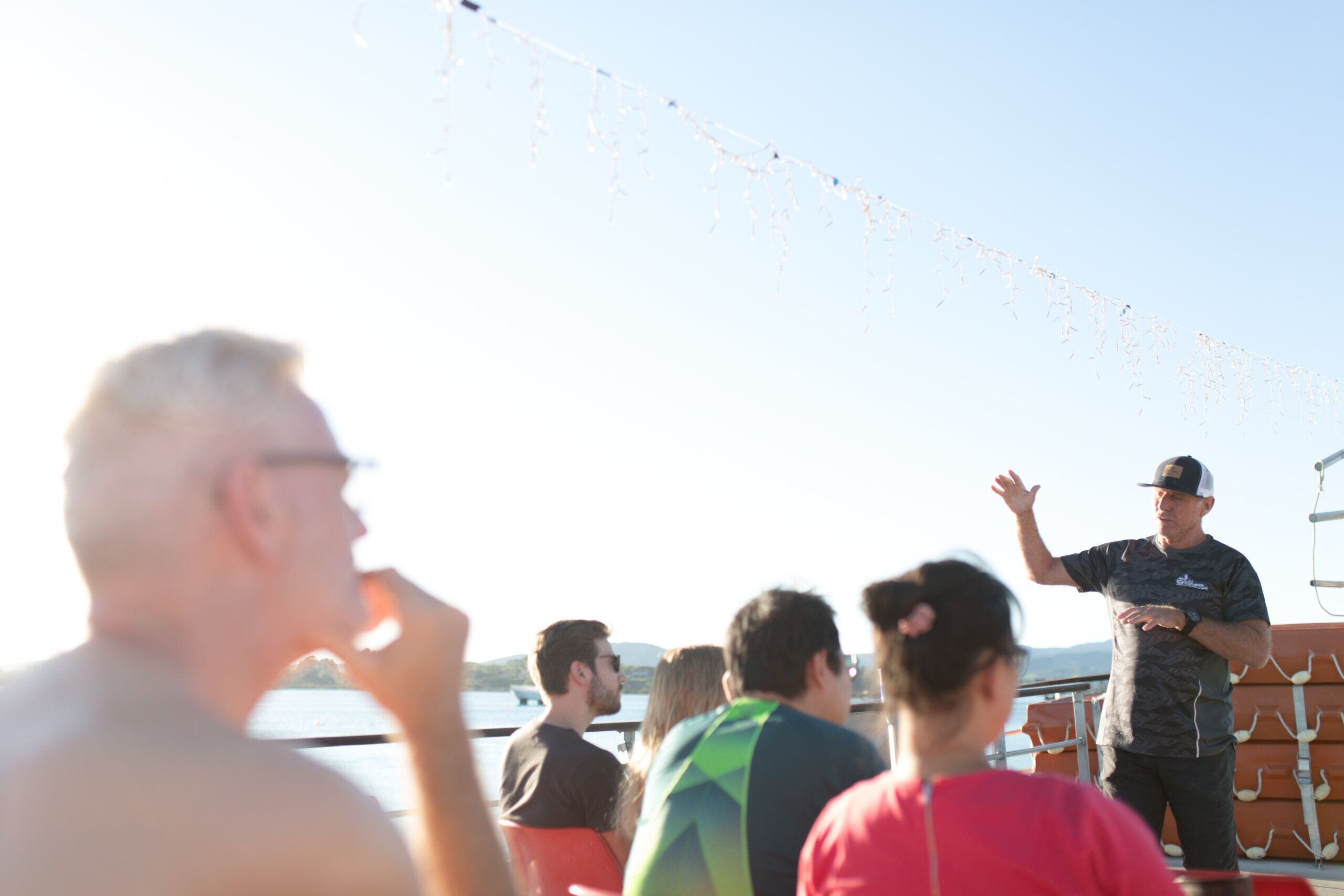 Tauranga Scenic Cruise – Relaxing Harbour & Coastal Sightseeing - Image 5