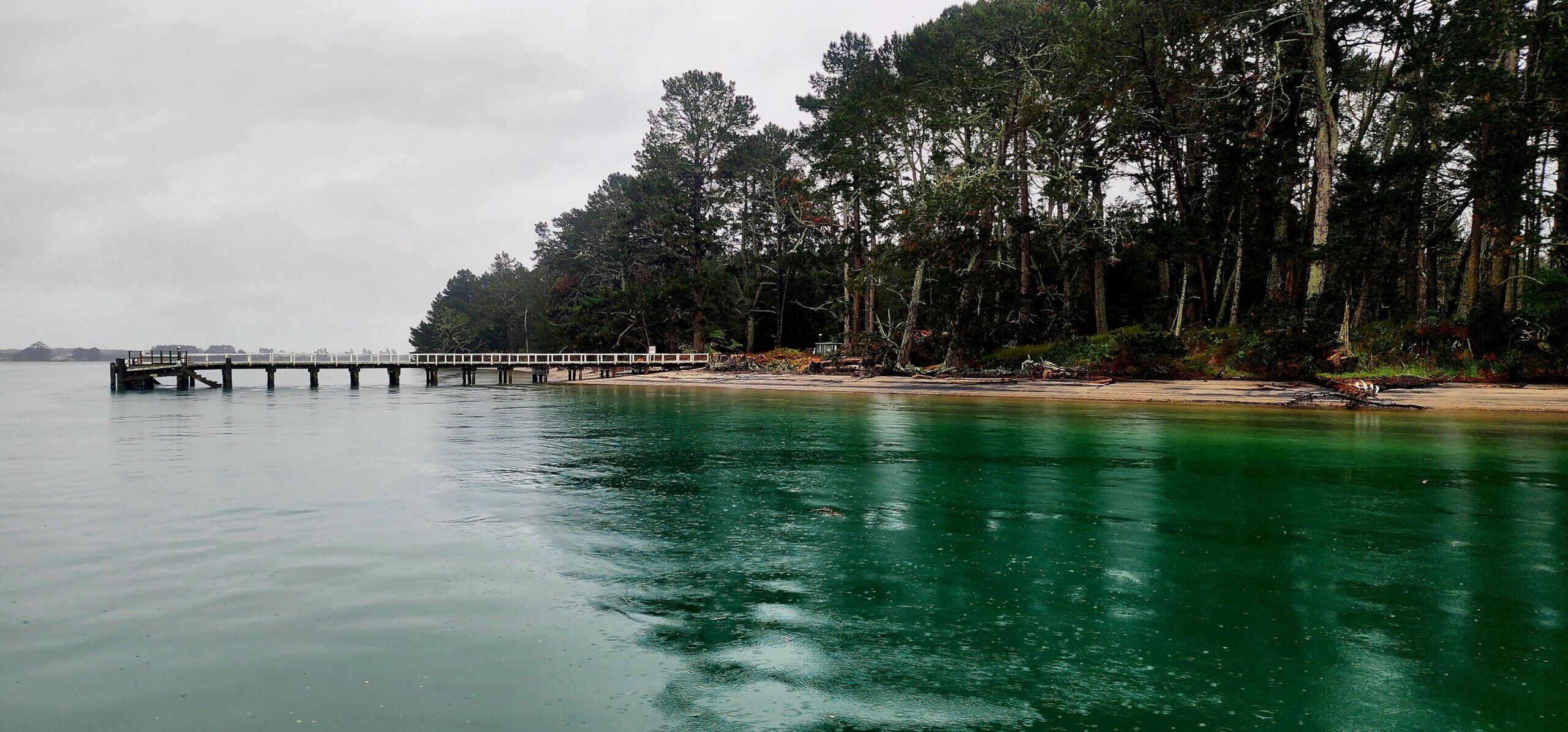 Tauranga Scenic Cruise – Relaxing Harbour & Coastal Sightseeing - Image 3