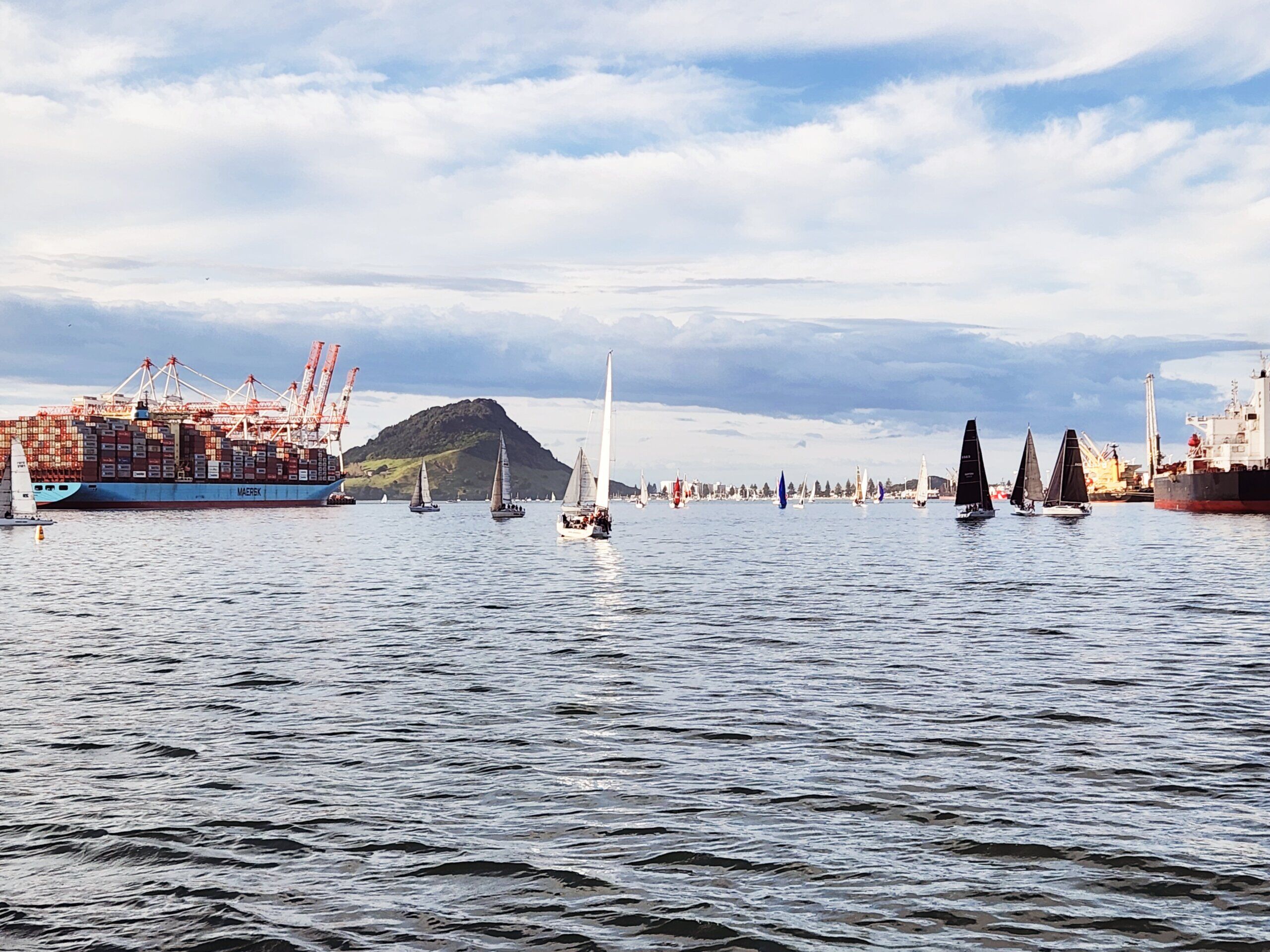 Tauranga Scenic Cruise – Relaxing Harbour & Coastal Sightseeing - Image 4