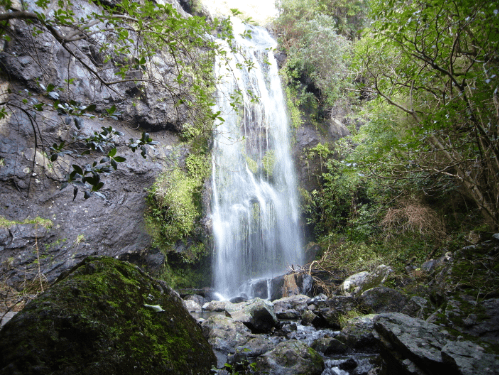 Akaroa Hike and Kayak Adventure in PÅhatu Marine Reserve! - Image 4