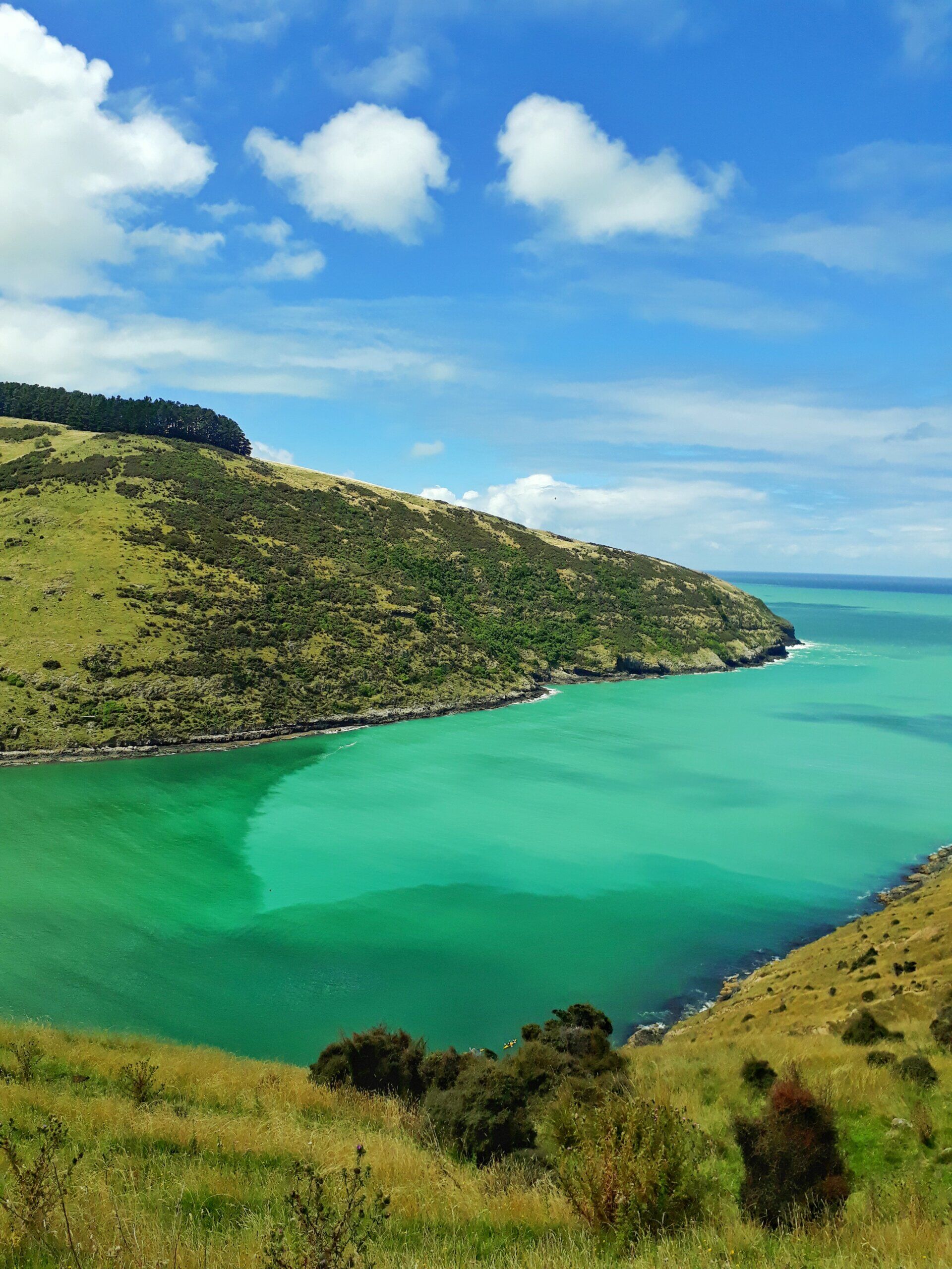 Akaroa Hike and Kayak Adventure in PÅhatu Marine Reserve! - Image 2