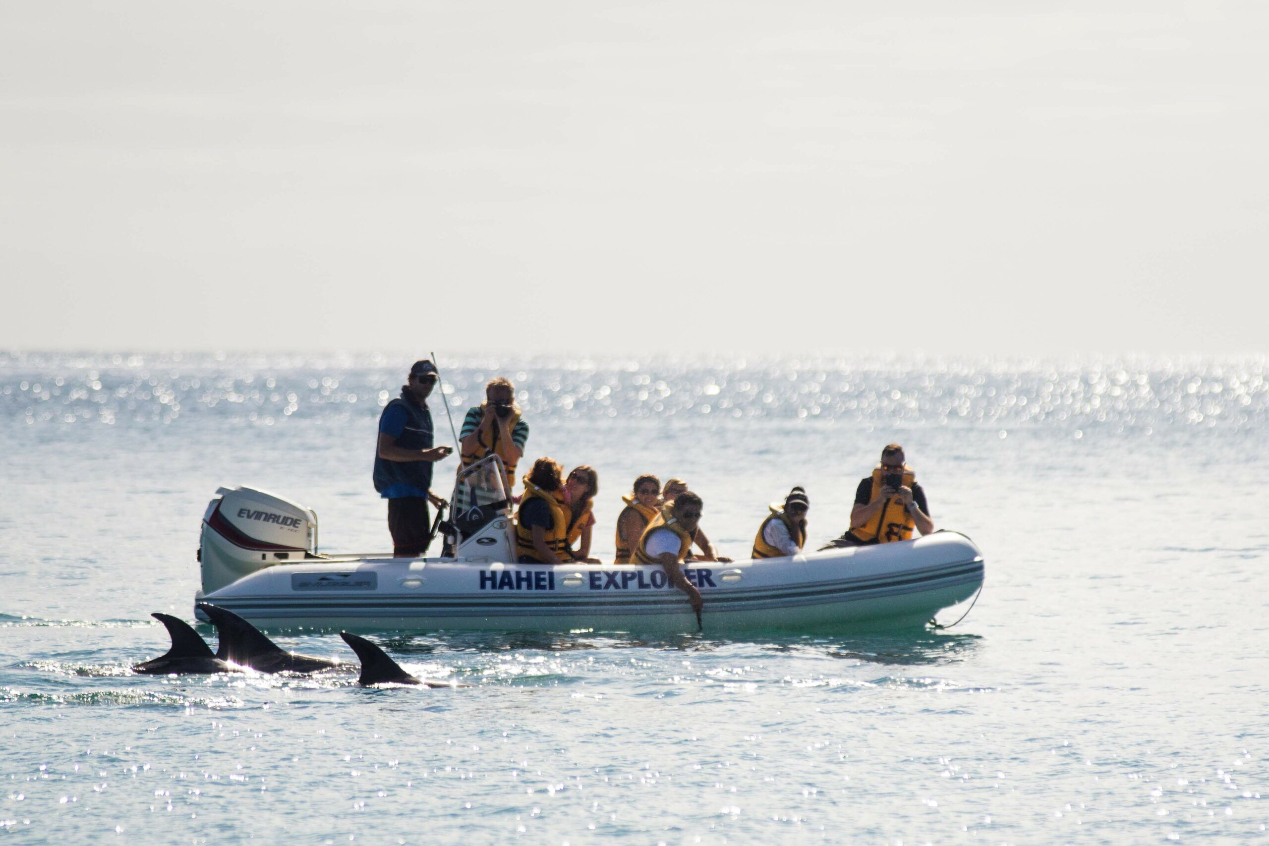 Hahei Cathedral Cove Boat Tour – Explore Sea Caves & Volcanic Coast! - Image 3