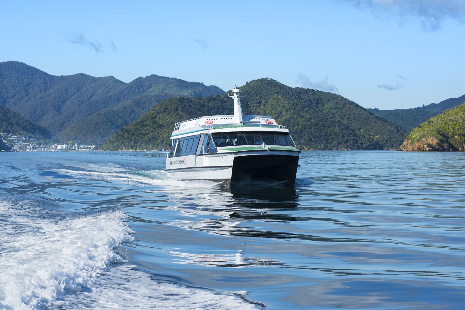 Cruise from Picton to Ship Cove on the Marlborough Sounds - Image 3