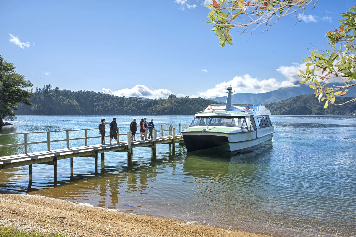 Cruise from Picton to Ship Cove on the Marlborough Sounds