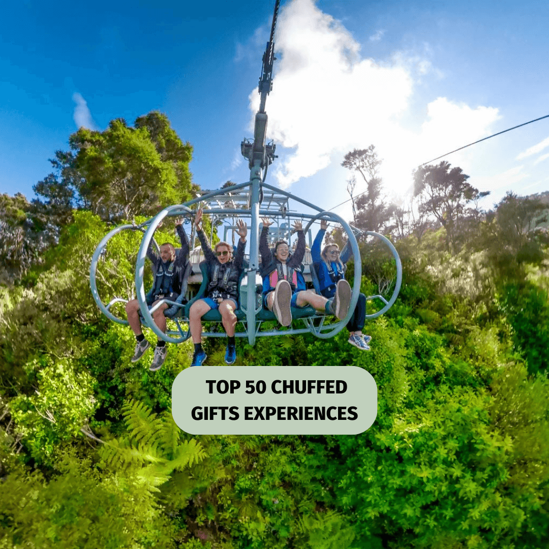 Soar Above Nelson’s Forest Canopy on the Epic Cable Bay Skywire Adventure!