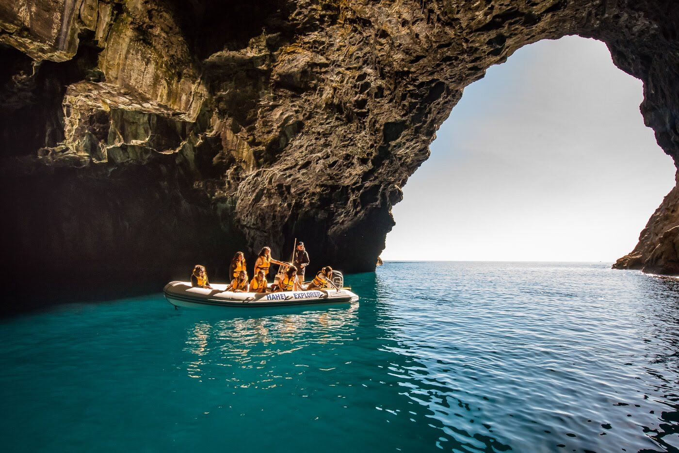 Hahei Cathedral Cove Boat Tour – Explore Sea Caves & Volcanic Coast! - Image 4