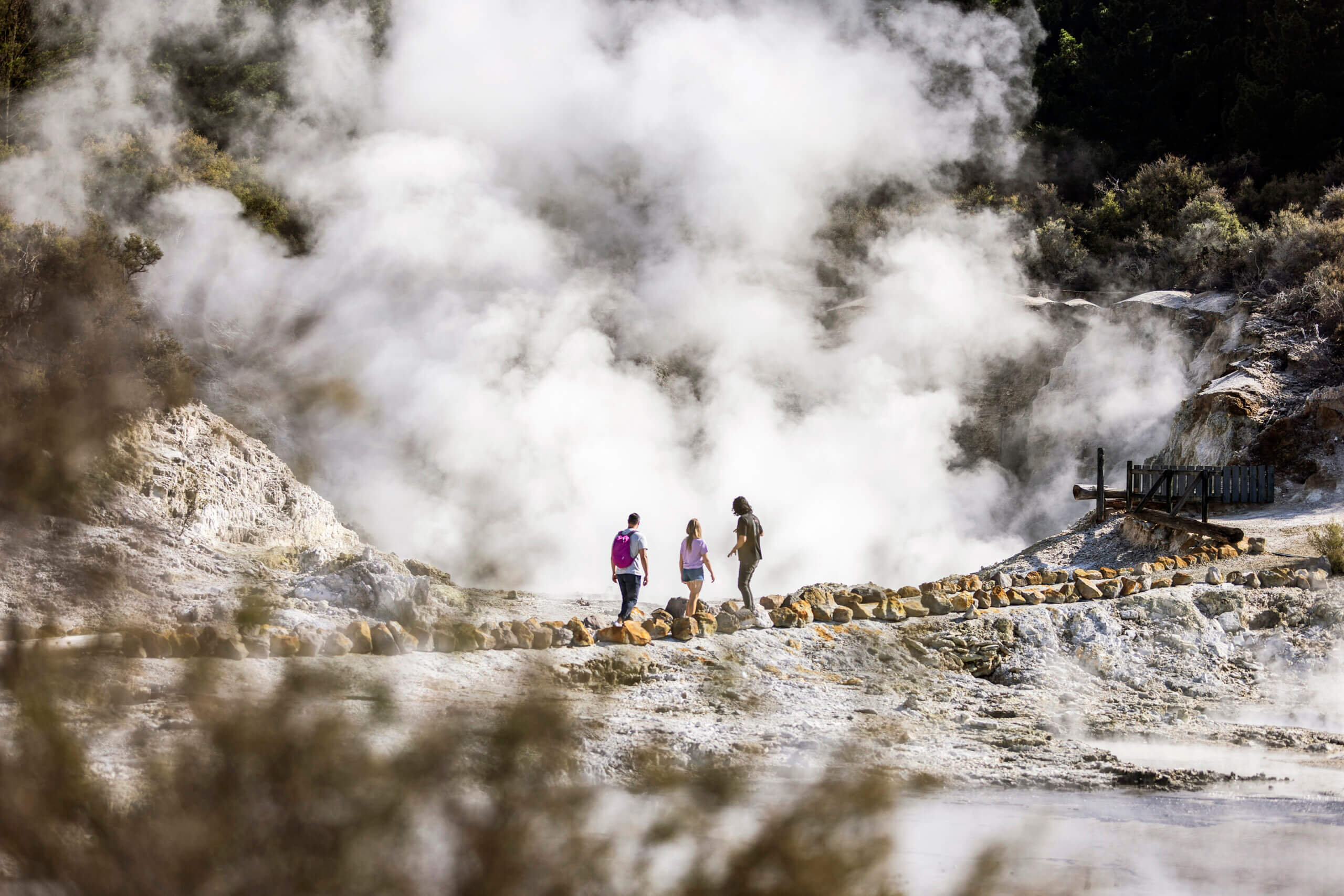 Hell’s Gate Rotorua Geothermal Walk, Māori Culture & Mud Spa - Image 4