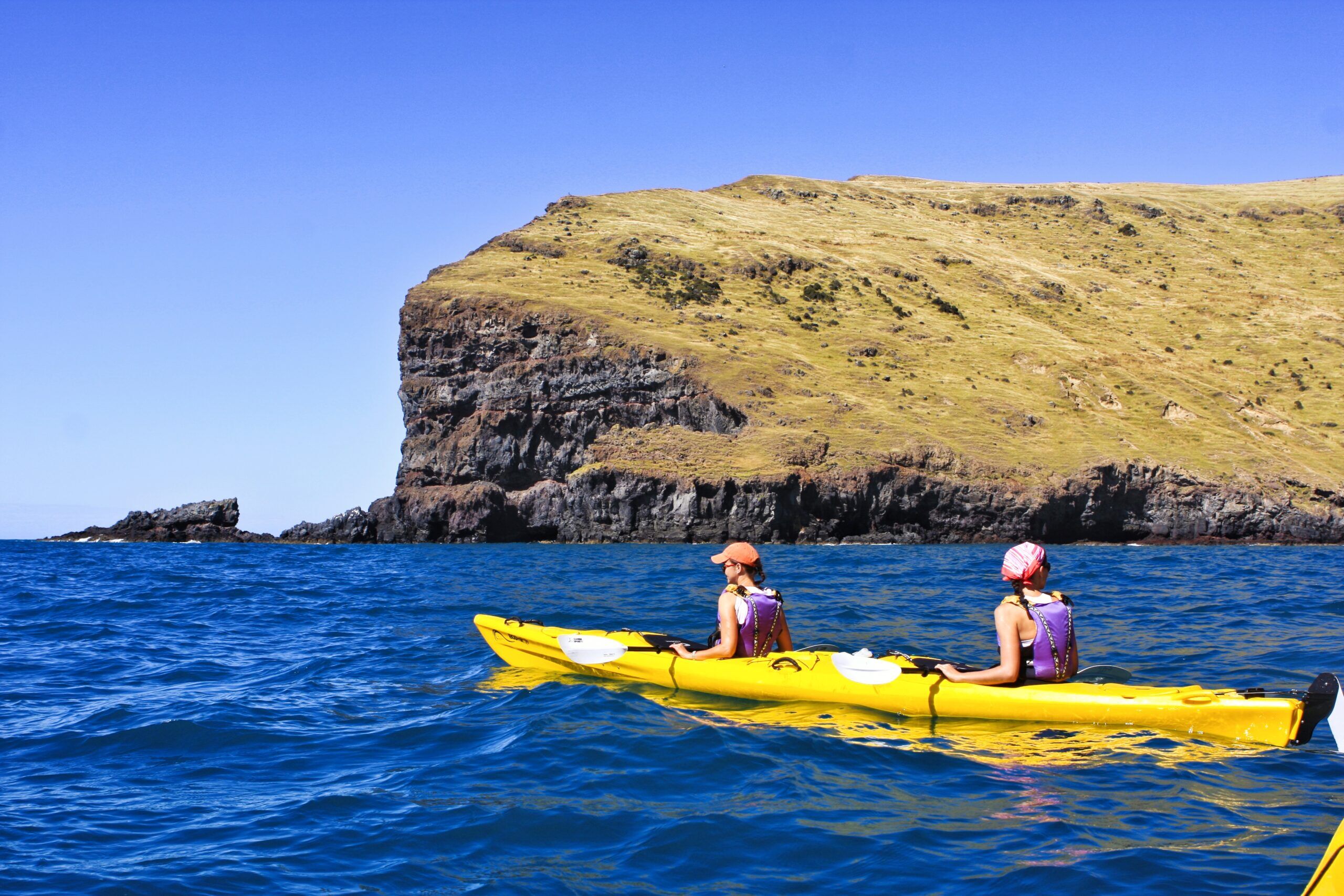 Akaroa Hike and Kayak Adventure in PÅhatu Marine Reserve! - Image 3