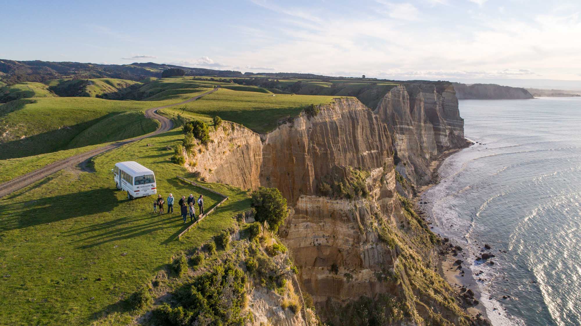 Cape Kidnappers Gannet Safari & Wildlife Adventure, Hawke’s Bay - Image 3
