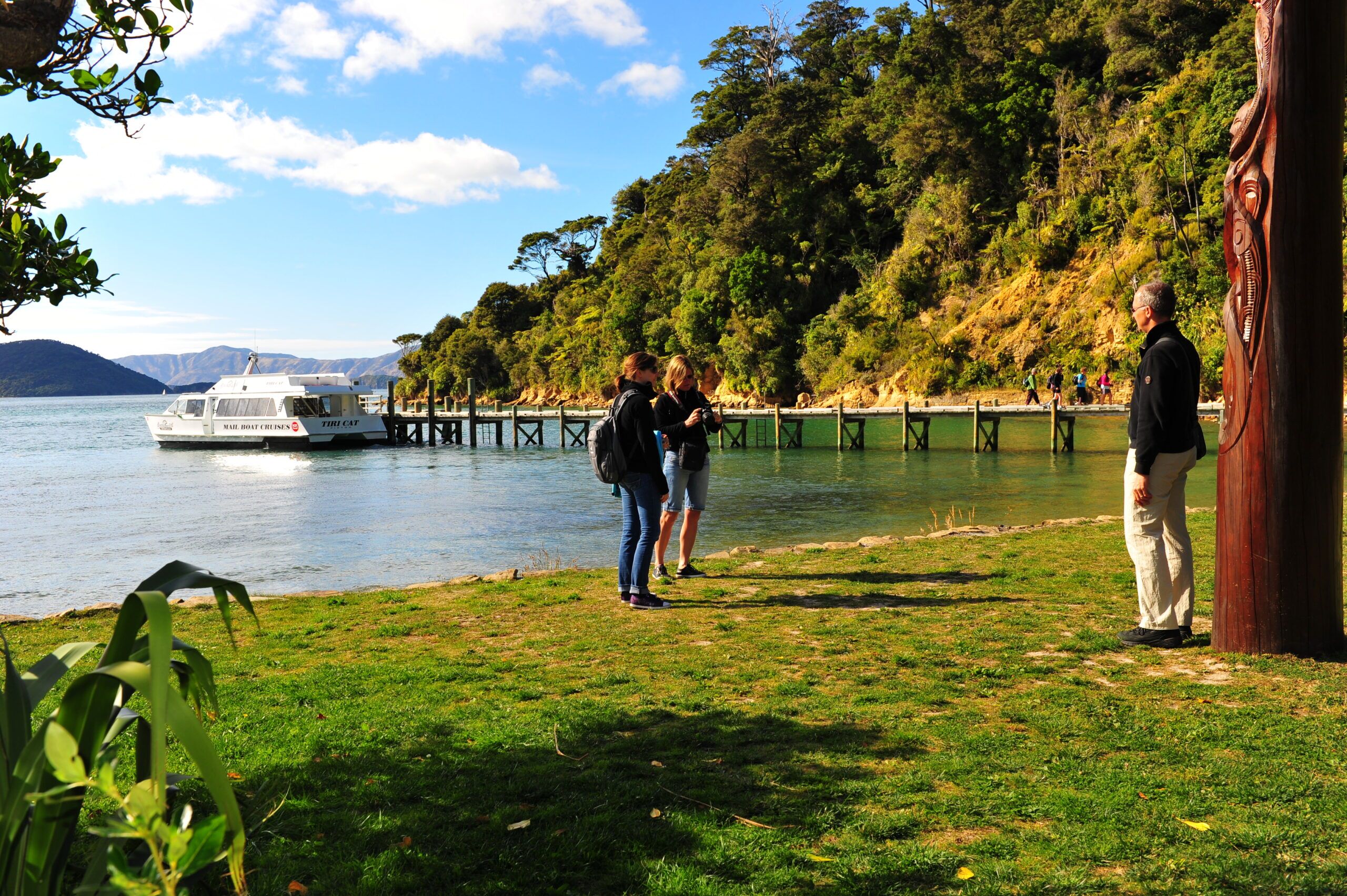 Cruise from Picton to Ship Cove on the Marlborough Sounds - Image 2