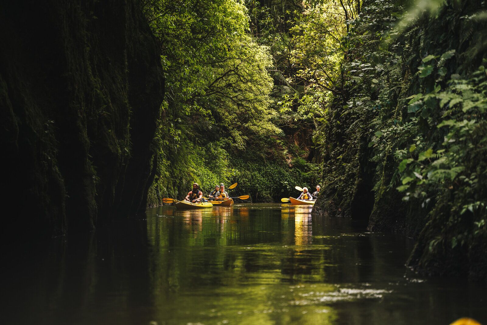Glow Worm Kayaking on Lake Karapiro! - Image 2