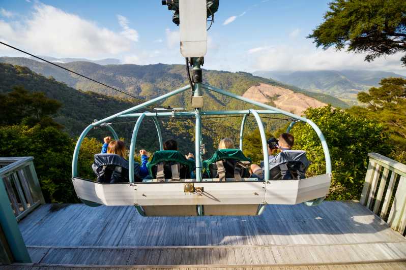 Soar Above Nelson’s Forest Canopy on the Epic Cable Bay Skywire Adventure! - Image 4
