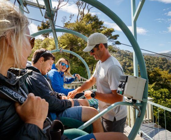 Soar Above Nelson’s Forest Canopy on the Epic Cable Bay Skywire Adventure! - Image 3