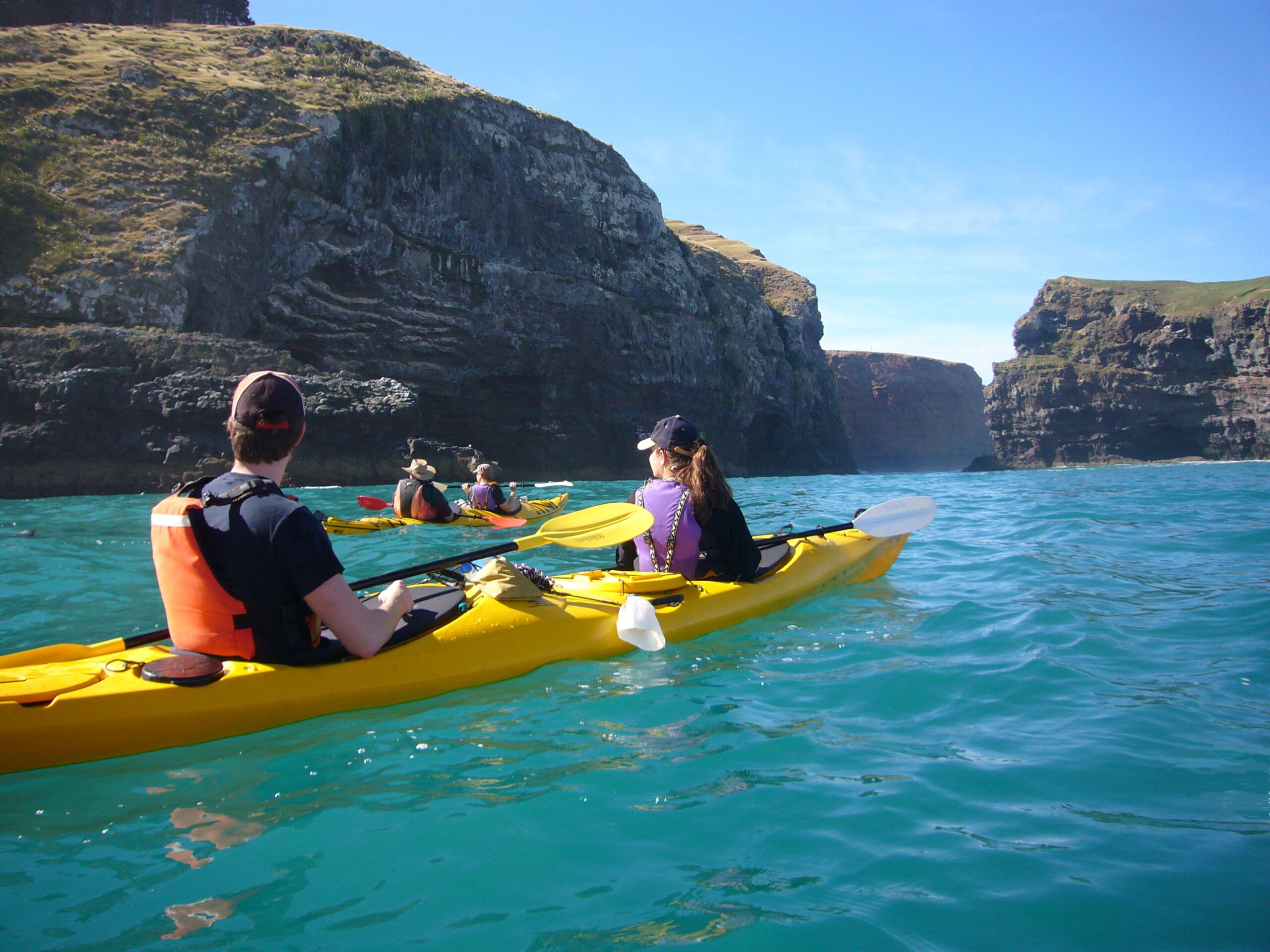 Akaroa Hike and Kayak Adventure in PÅhatu Marine Reserve!
