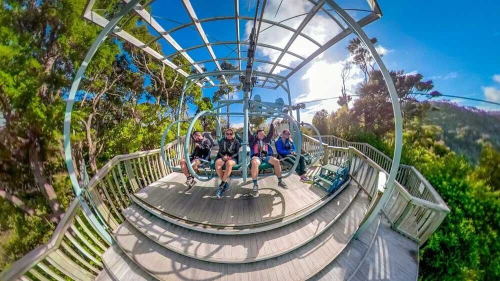 Soar Above Nelson’s Forest Canopy on the Epic Cable Bay Skywire Adventure! - Image 2