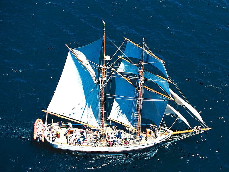 Bay of Islands Sundowner Cruise on the Iconic R. Tucker Thompson! - Image 3
