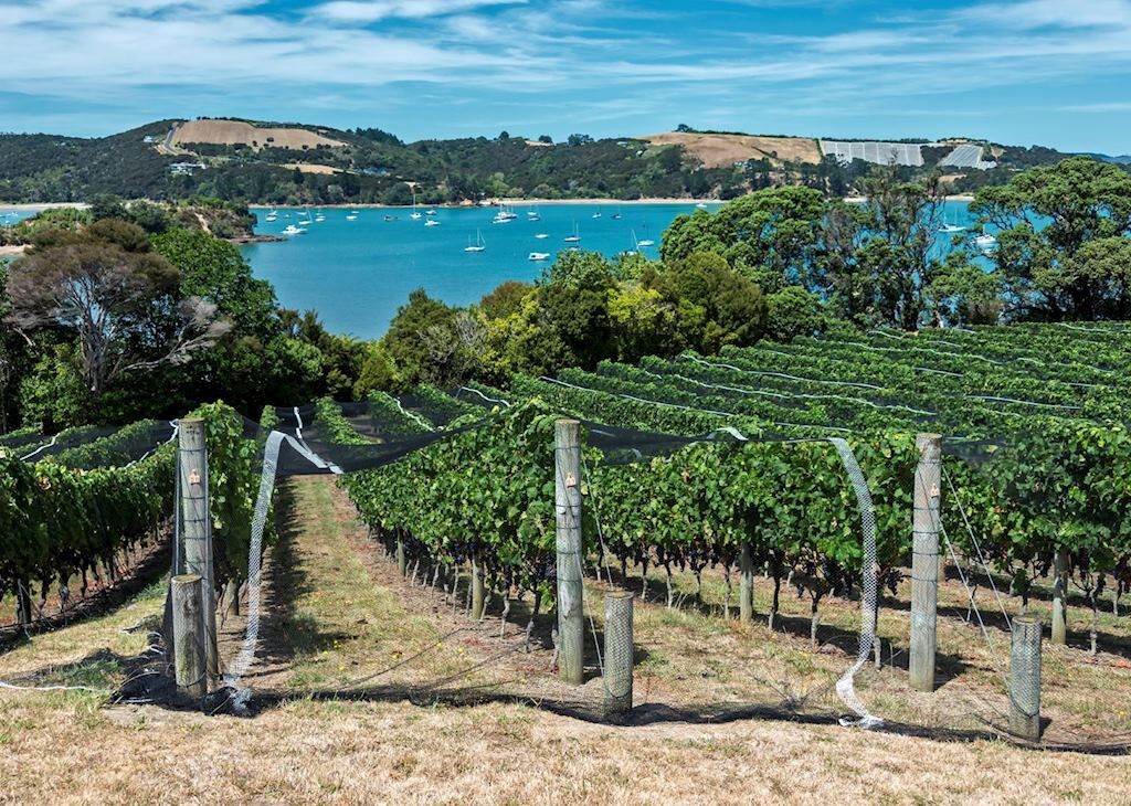 Experience Waiheke Island's Beaches & Vineyards with Return Ferry Travel - Image 2