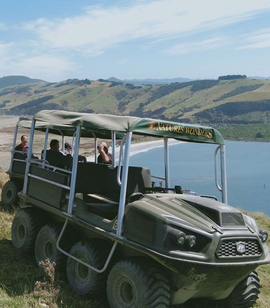 Otago Peninsula Argo Wildlife & Penguin Adventure!