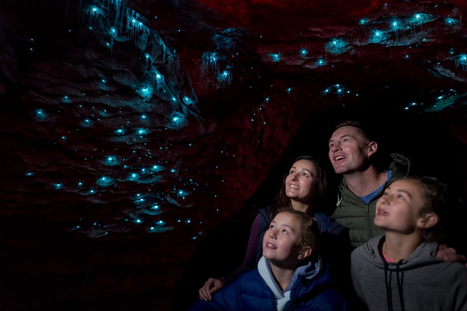 Te Anau Glowworm Caves Cruise and Underground Cave Adventure! - Image 3