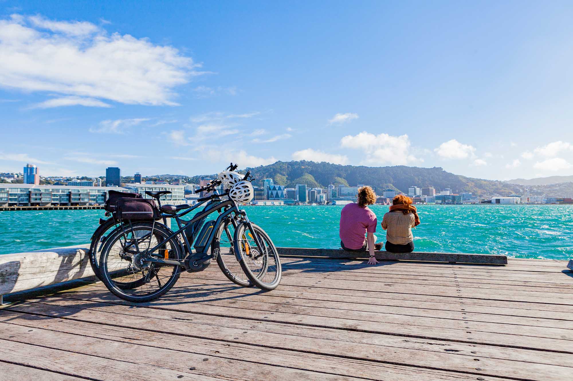 Full Day E-bike Exploration of Wellington
