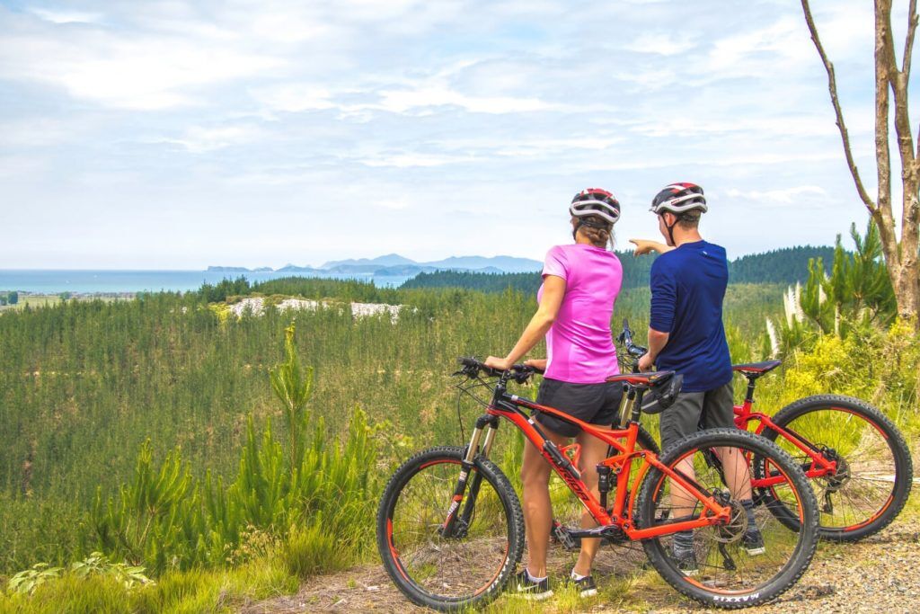 Full Suspension Mountain Bike Hire at Waitangi Mountain Bike park - Image 3