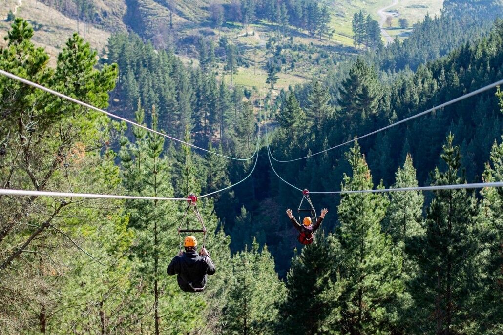 Christchurch Zipline Full Tour Above Stunning Forest Canopies!