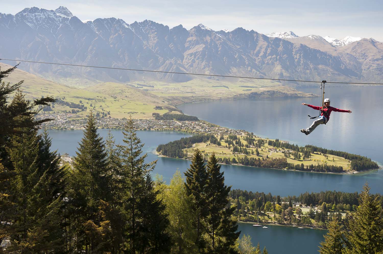 Experience the World’s Steepest Tree-to-Tree Zipline High Above Queenstown! - Image 3