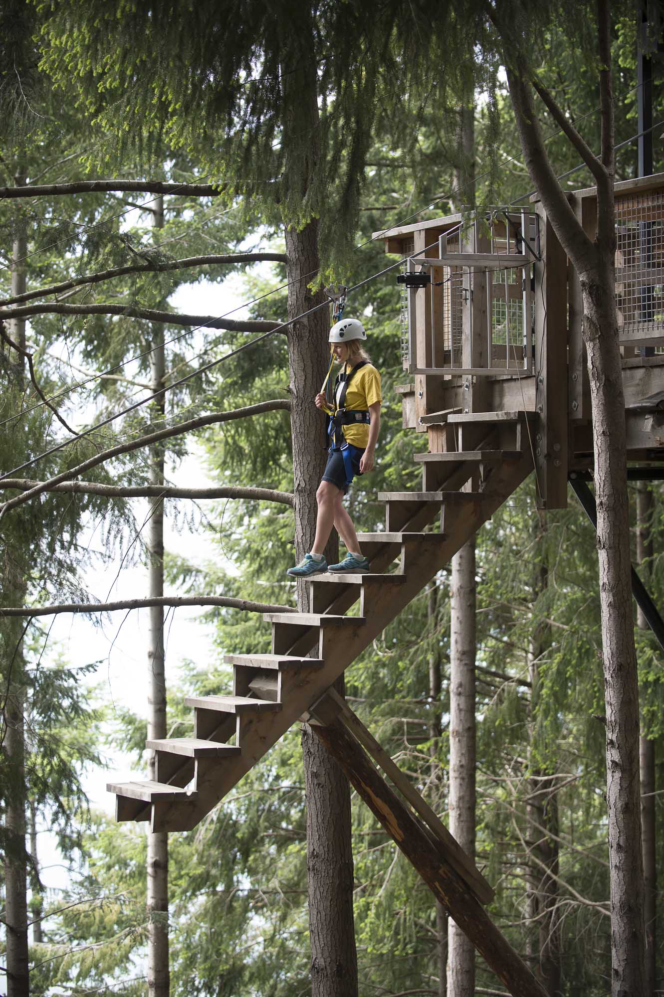 Experience the World’s Steepest Tree-to-Tree Zipline High Above Queenstown! - Image 2
