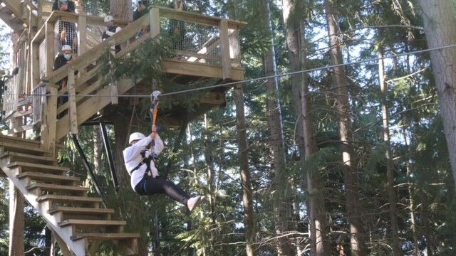 Experience the World’s Steepest Tree-to-Tree Zipline High Above Queenstown! - Image 5