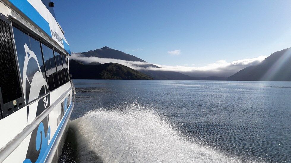 Cruise the Pelorus Sound on the world famous Mail Run cruise!