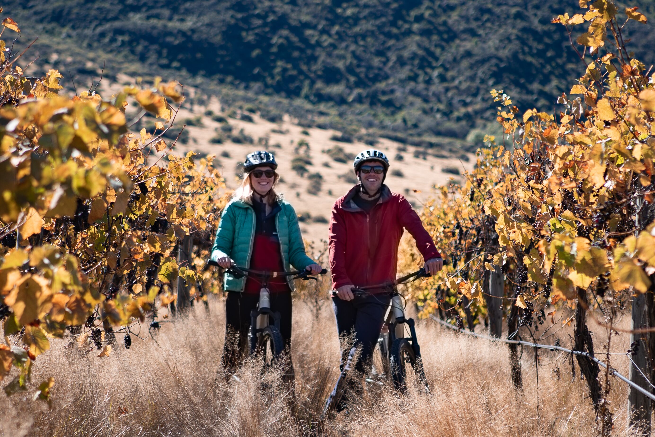 Cycle Queenstown's Gibbston Valley Wineries on a Full-Day Adventure!