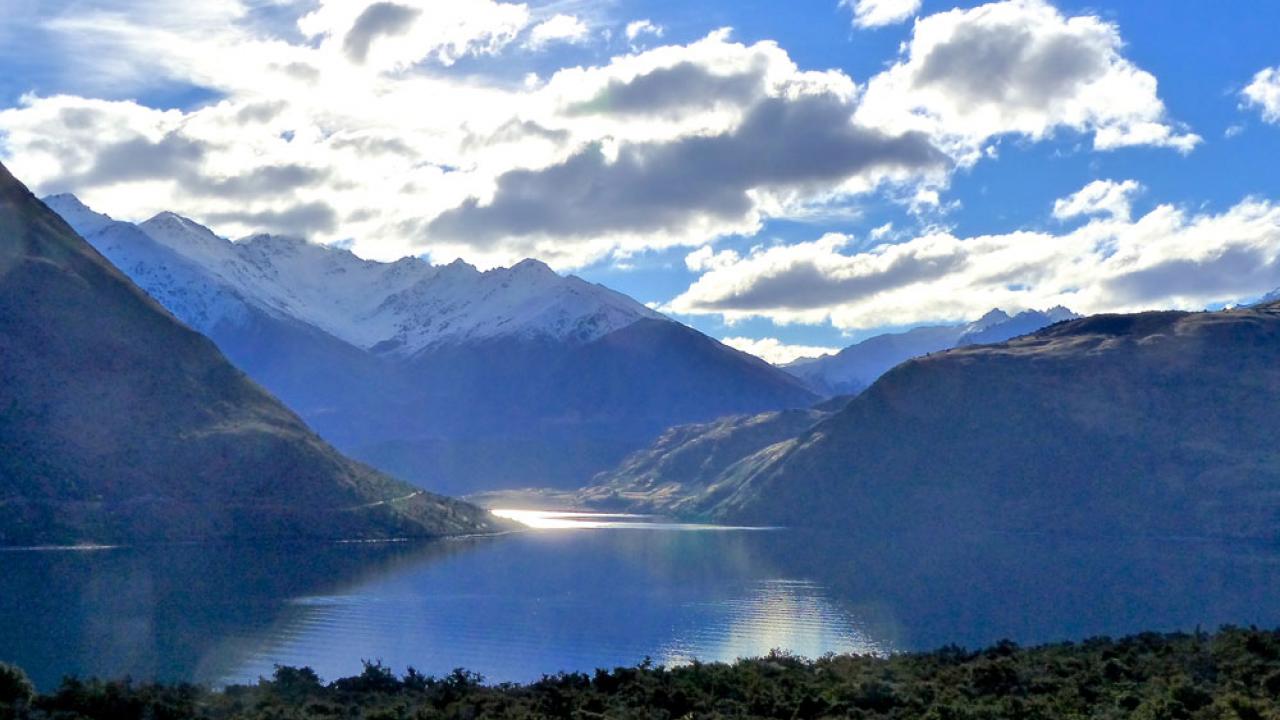 Lake Wānaka Stevensons Island Cruise & Guided Nature Walk - Image 3