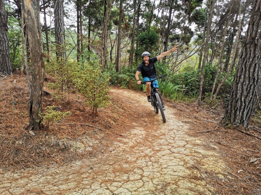 Ride the Paihia Trails with a Full Day Electric Mountain Bike Hire! - Image 4