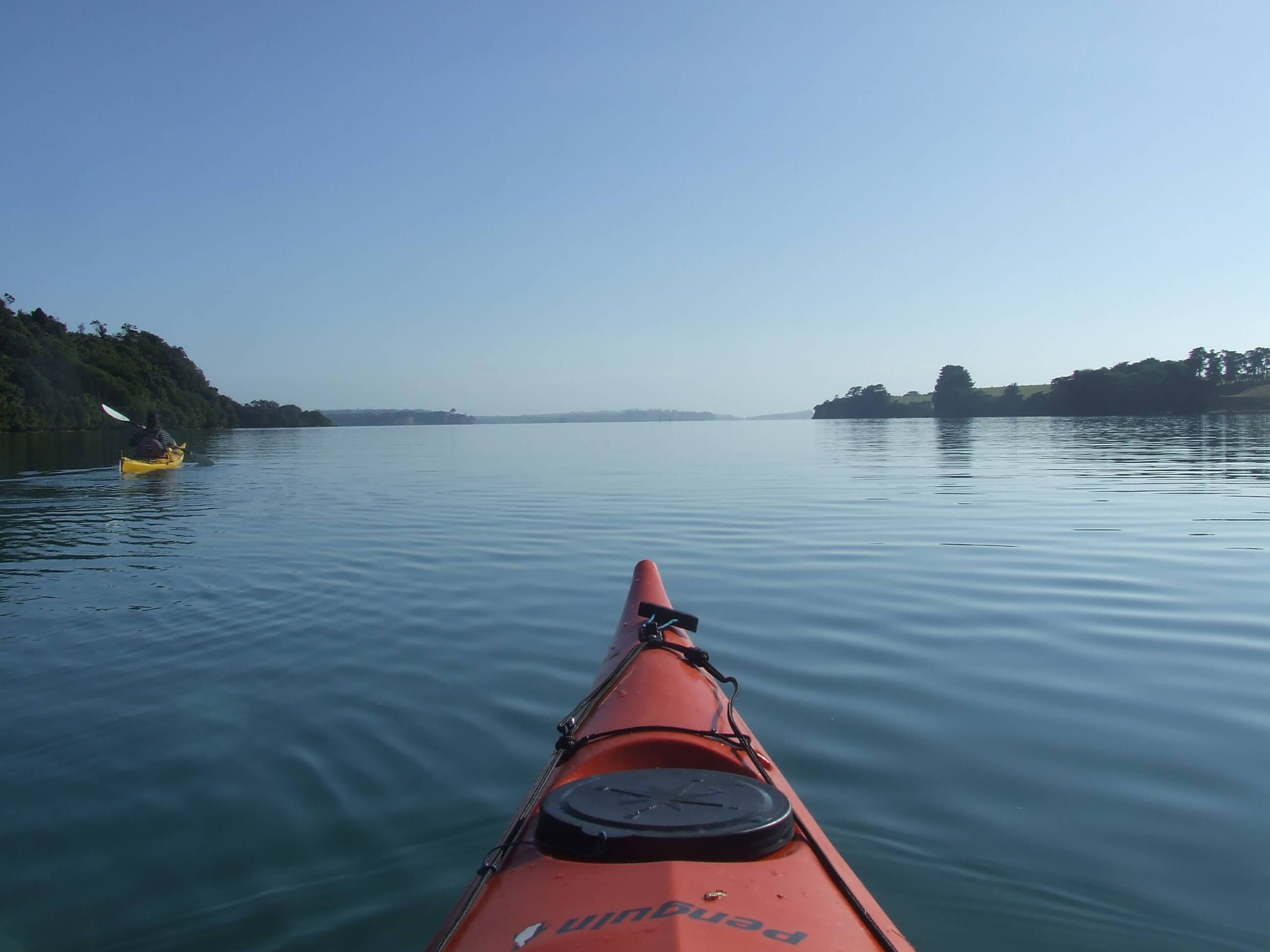 Auckland Bioluminescence Kayak Tour – Paddle Through Glowing Waters!