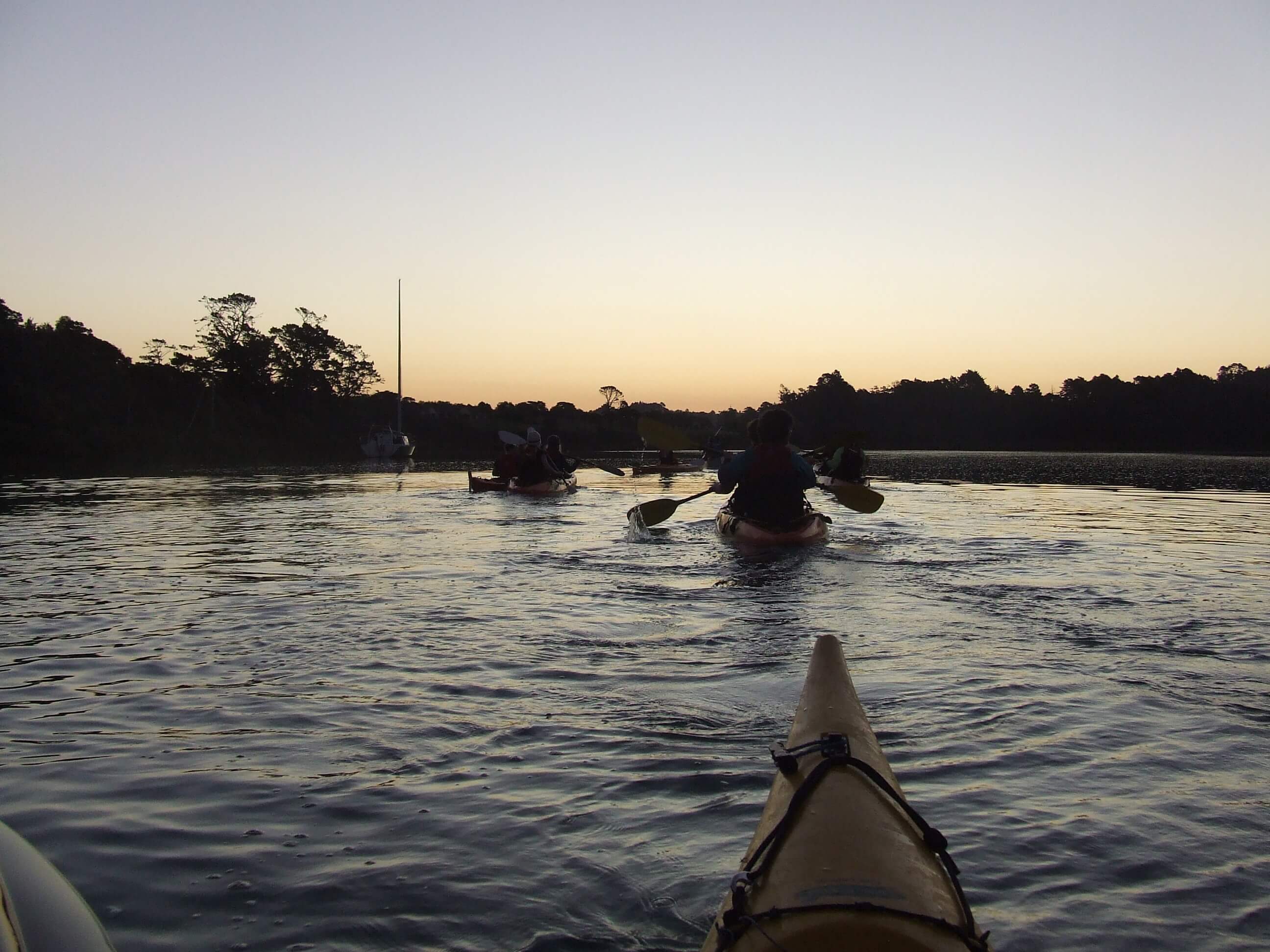 Auckland Bioluminescence Kayak Tour – Paddle Through Glowing Waters! - Image 2