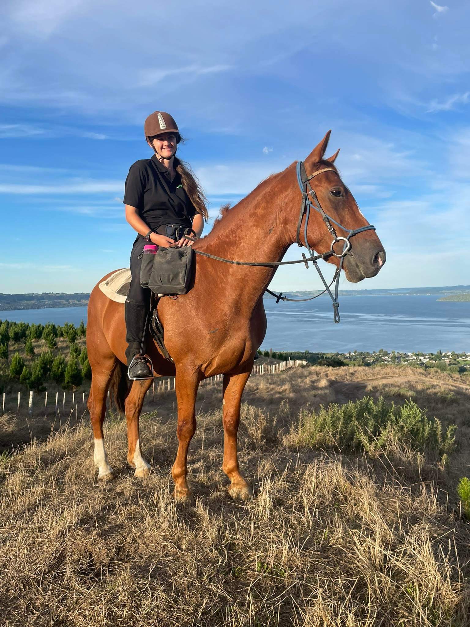 Rotorua Horse Trek Experience with Stunning Lake Views!